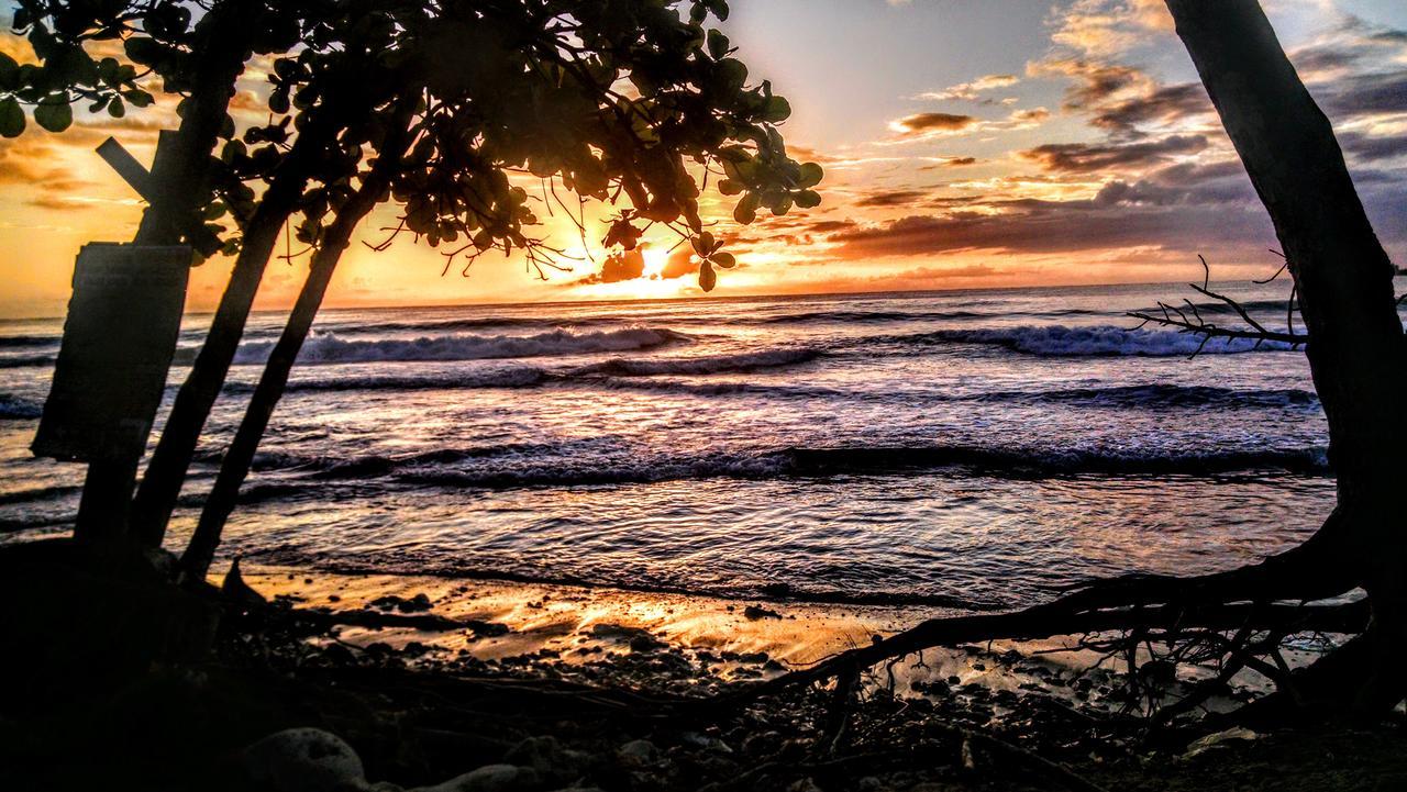 Surf Break At Paunch Bed & Breakfast Bocas del Toro Exterior photo