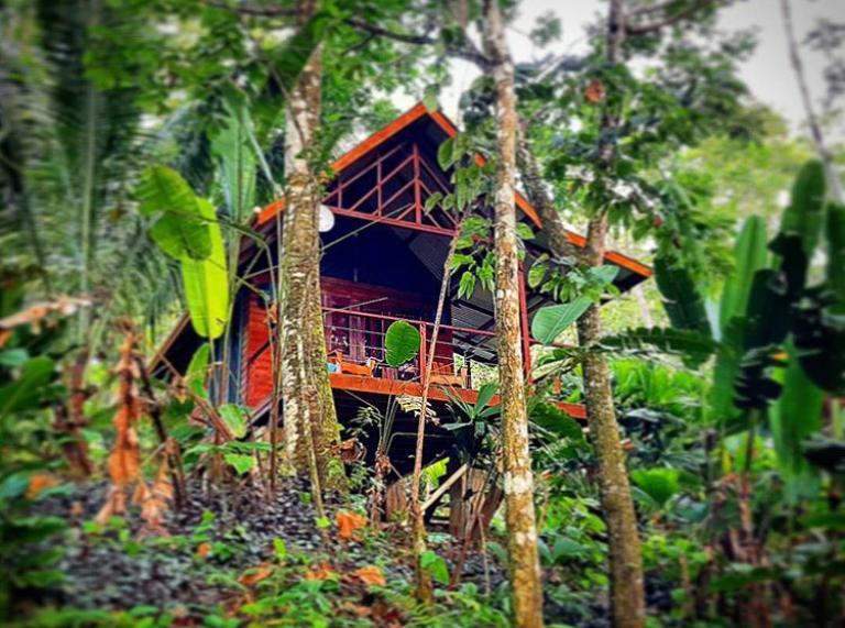Surf Break At Paunch Bed & Breakfast Bocas del Toro Exterior photo